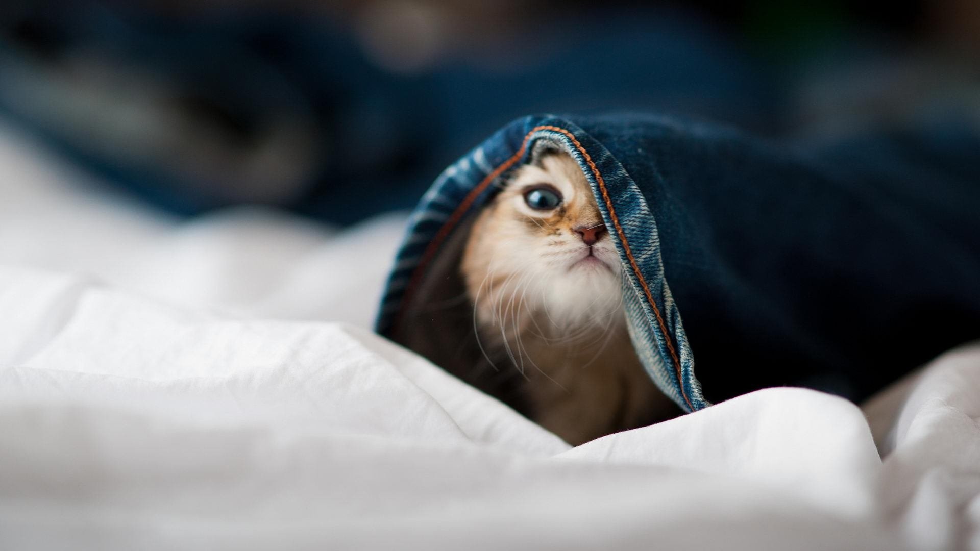 【关键因素】比赛胜负的决定性战术点分析，比赛的胜负不是最重要的