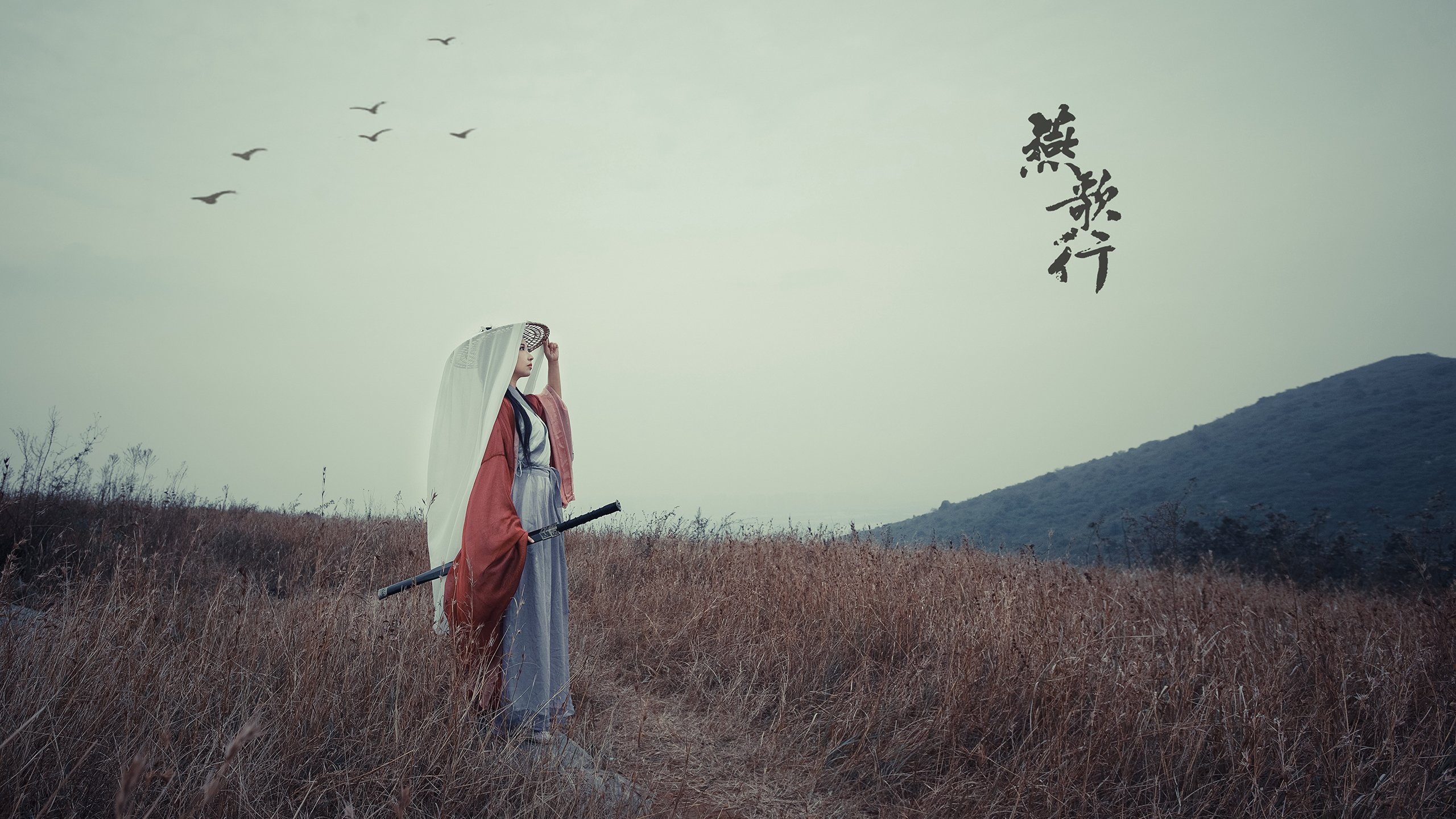 【罚分揭秘】裁判如何快速判断犯规点,确保比赛流畅,裁判的犯规手势