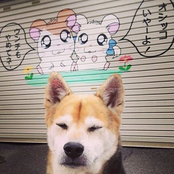 未来中国足球产业链将实现跨界融合,拓展多元发展路径,中国足球产业规模