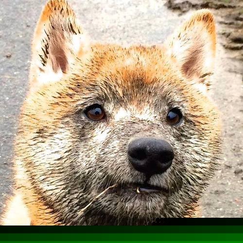 AYX SPORTS-球员咖位：那些场外圈粉无数的明星