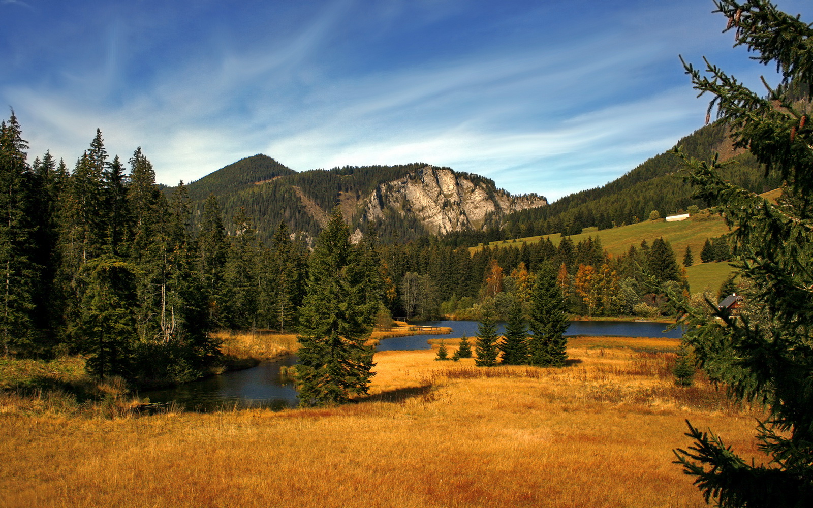 AYX GAMING-环境保护：赛事使用绿色环保材料引领新风尚，绿色环保齐参与