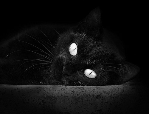 环境保护：赛事使用绿色环保材料引领新风尚，绿色环保齐参与