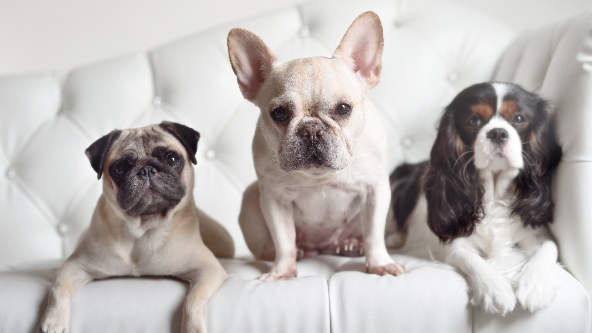 爱游戏电竞官网-球场神技：顶级运动员的炫技时刻，球场黑科技