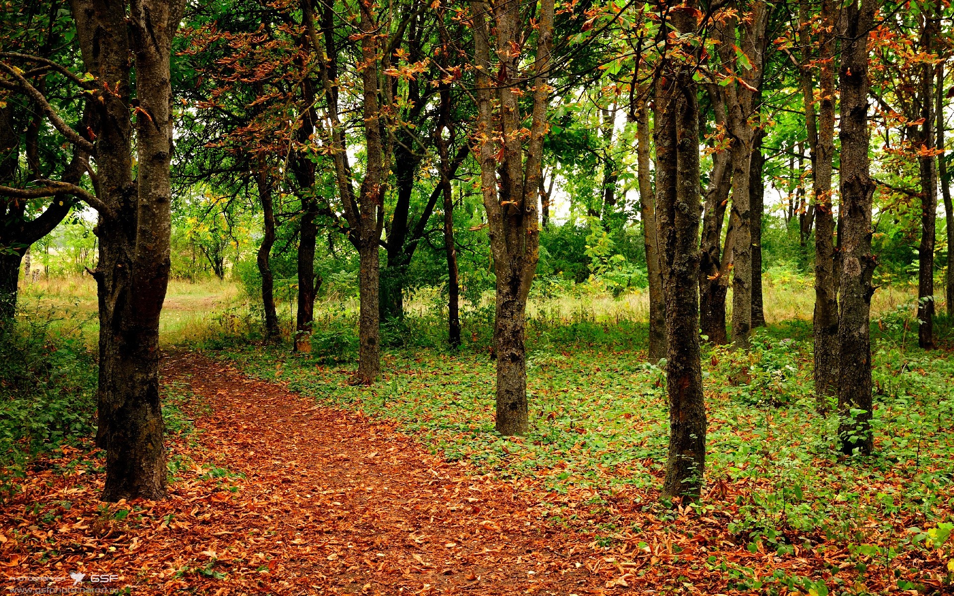 电竞赛事数据统计技术应用广泛，电竞比赛的数据分析师