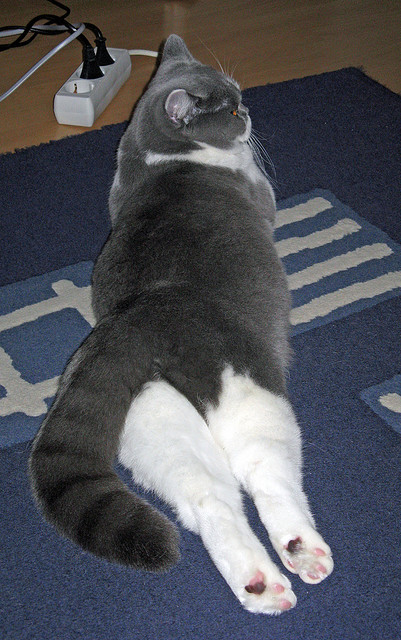 卡昂新任主帅执教首秀告捷,取得胜利,卡昂位置