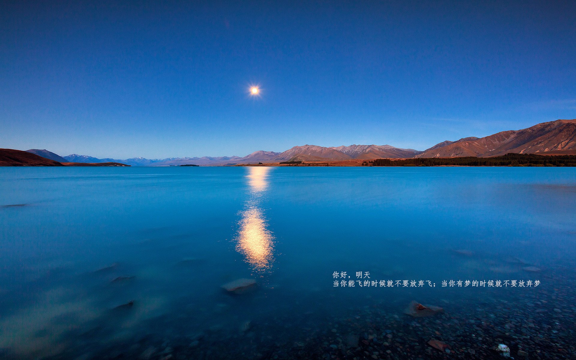 快船连续抢断主场掀翻猛龙，快船对猛龙前瞻