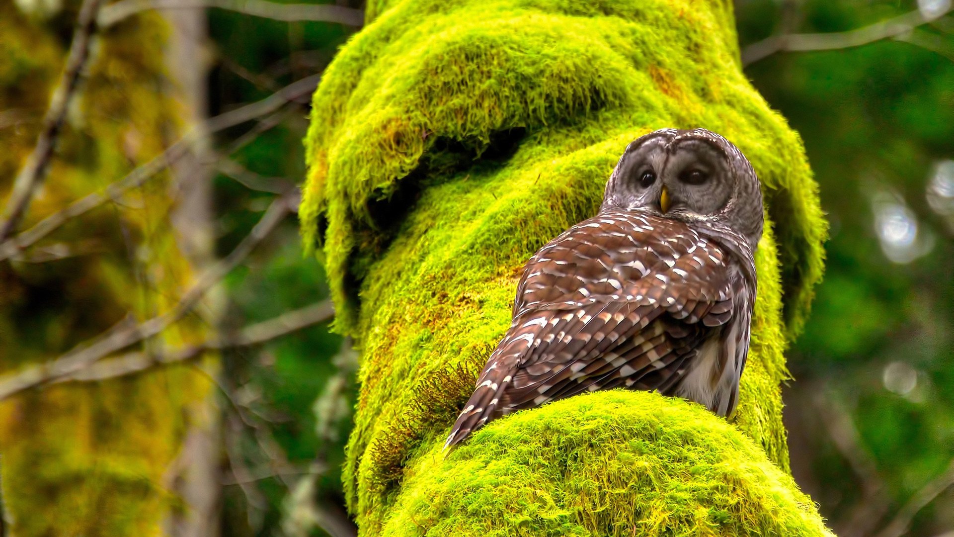 爱游戏娱乐-法国_击败威尔士 豪取欧预赛小组第一，法国对威尔斯