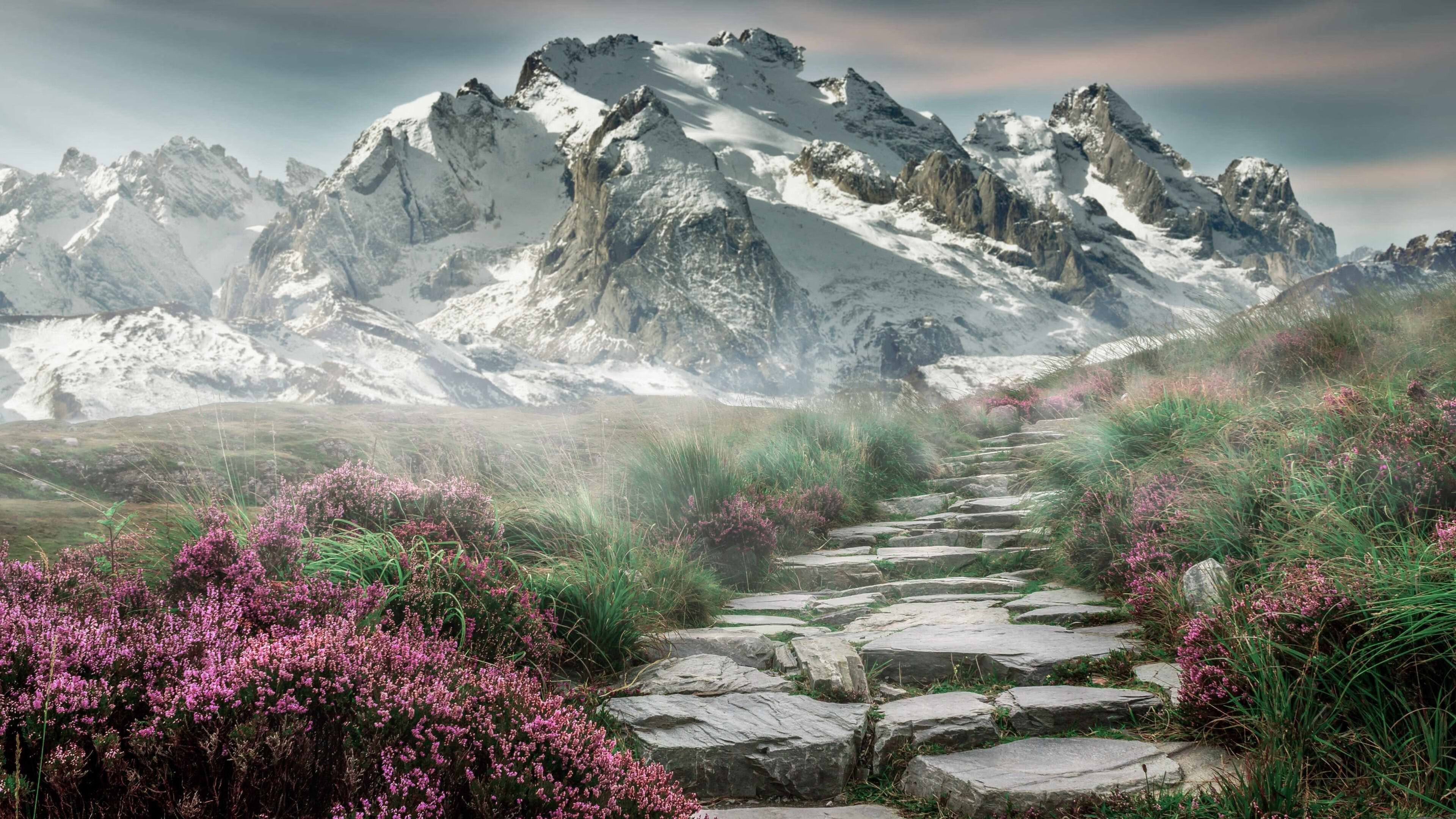 福建豹发力新援快速融入阵容,福建豹发力百度百科