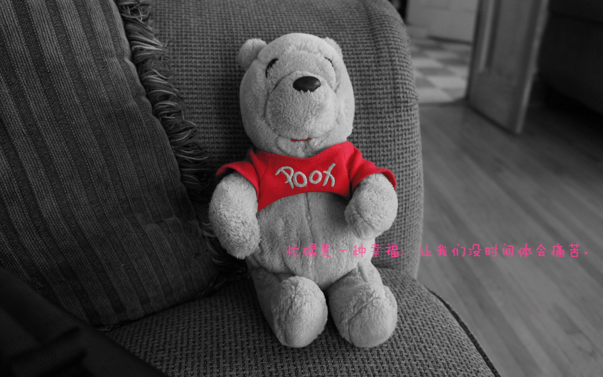 爱游戏-韩选手星际争霸世界赛夺冠，星际争霸韩国冠军