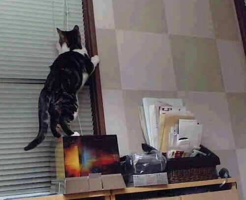 马竞前锋连续进球,状态火爆引发球迷热议,从马竞走出去的前锋