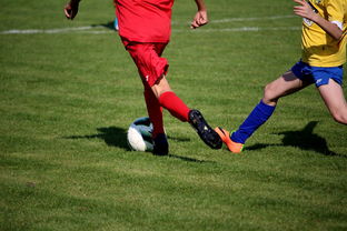 爱游戏电竞官网-世界马拉松大满贯赛事上海站开跑，世界马拉松大满贯赛事上海站开跑时间