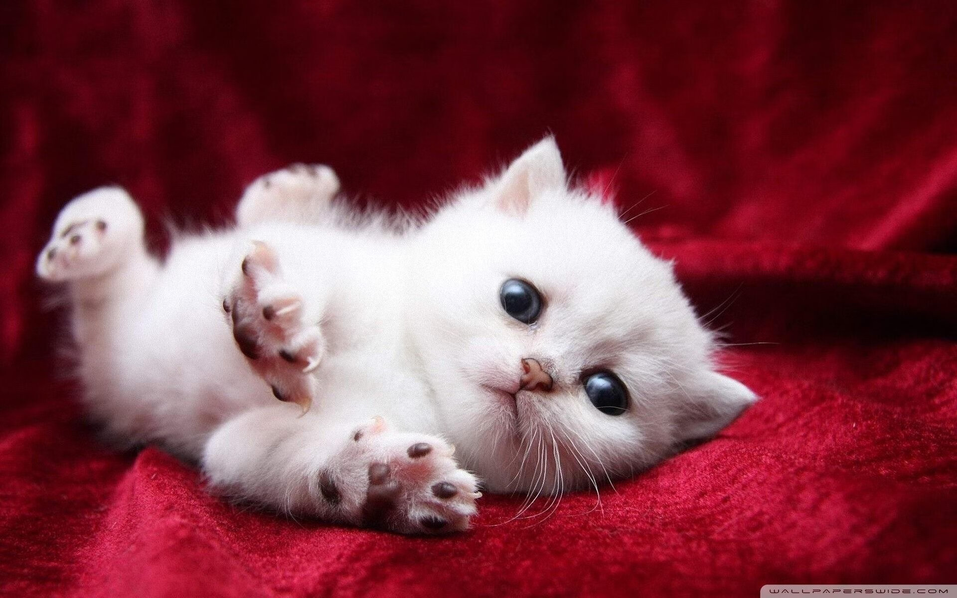 德甲球队基于GPS数据调整跑动策略提升比赛效率,德甲平均跑动距离