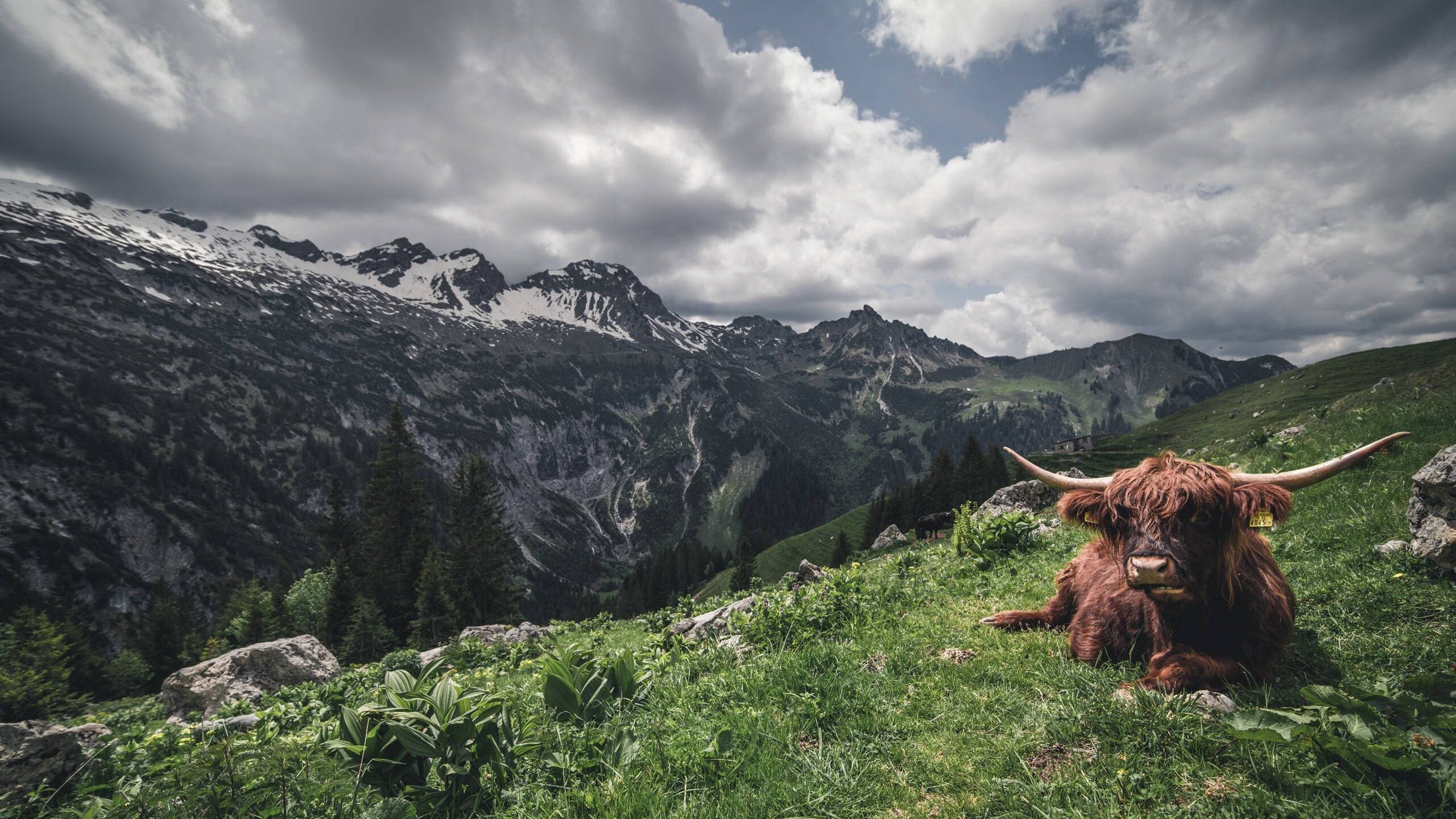 青少年体育锻炼行为形成机制研究,青少年体育锻炼行为形成机制研究报告