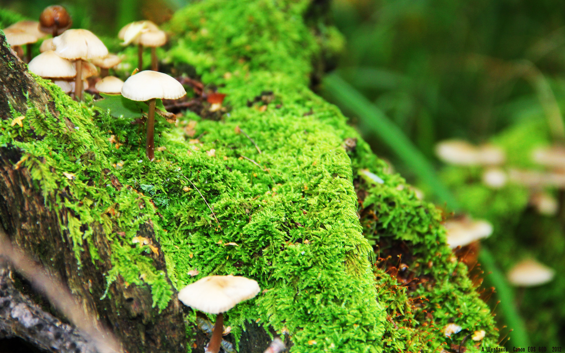 国际热身赛中国青年队战胜 球迷鼓励新人崛起,国家队热身赛有出场费吗