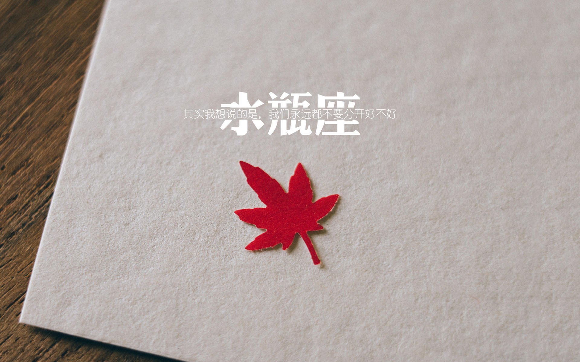 选手年终总结走心文字引发粉丝集体留言,选手感言