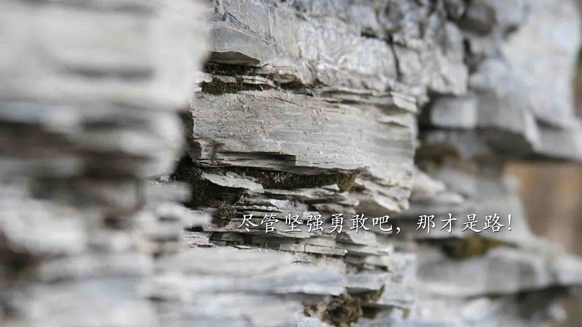 “亚戈·卡尔曼的精湛球技与决策能力,让阿根廷美洲狮队未来更具竞争力”