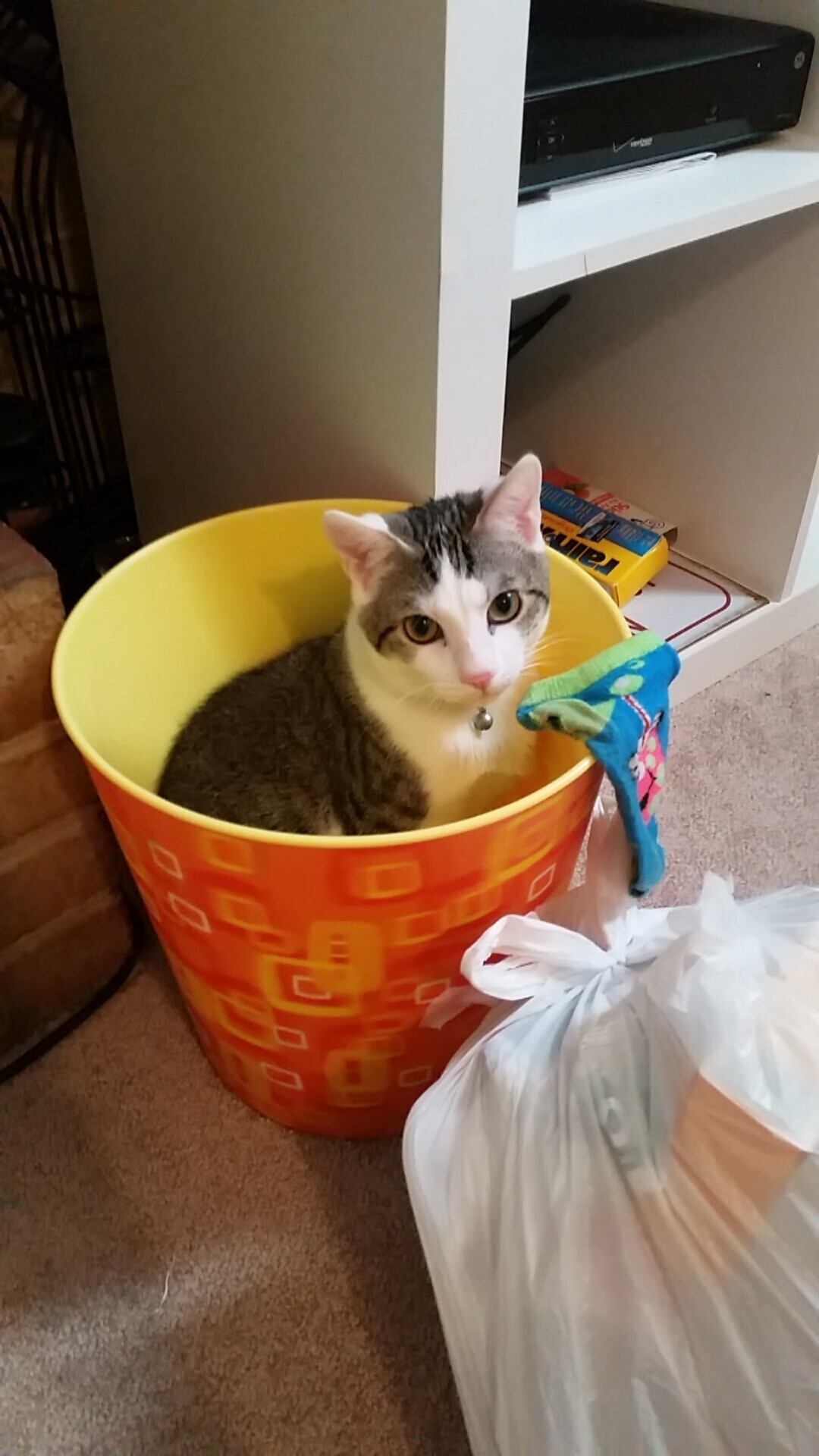 东契奇赛后称球队更信任彼此,东契奇回应