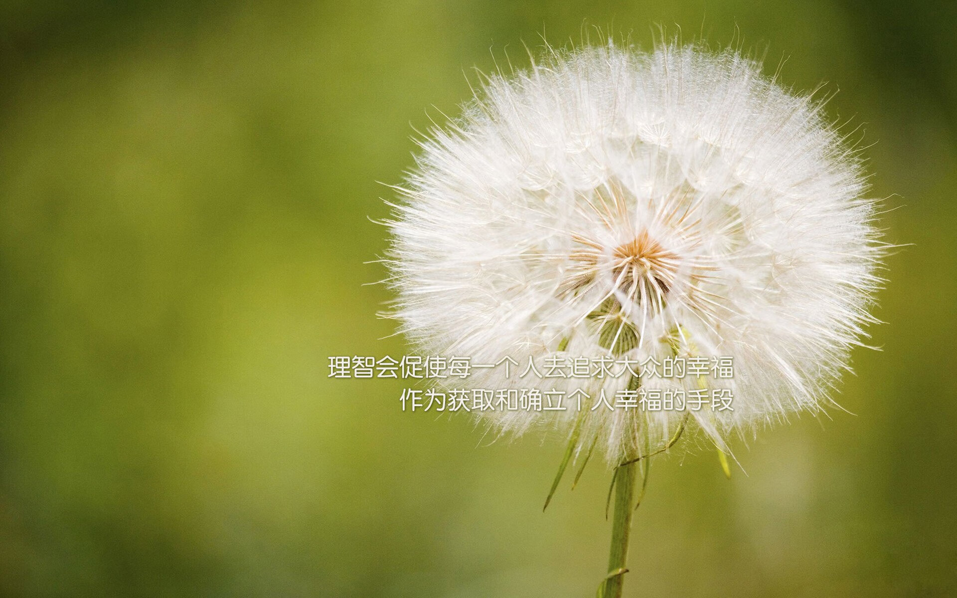 印度男篮在国际邀请赛中崭露头角,实力逐步提升