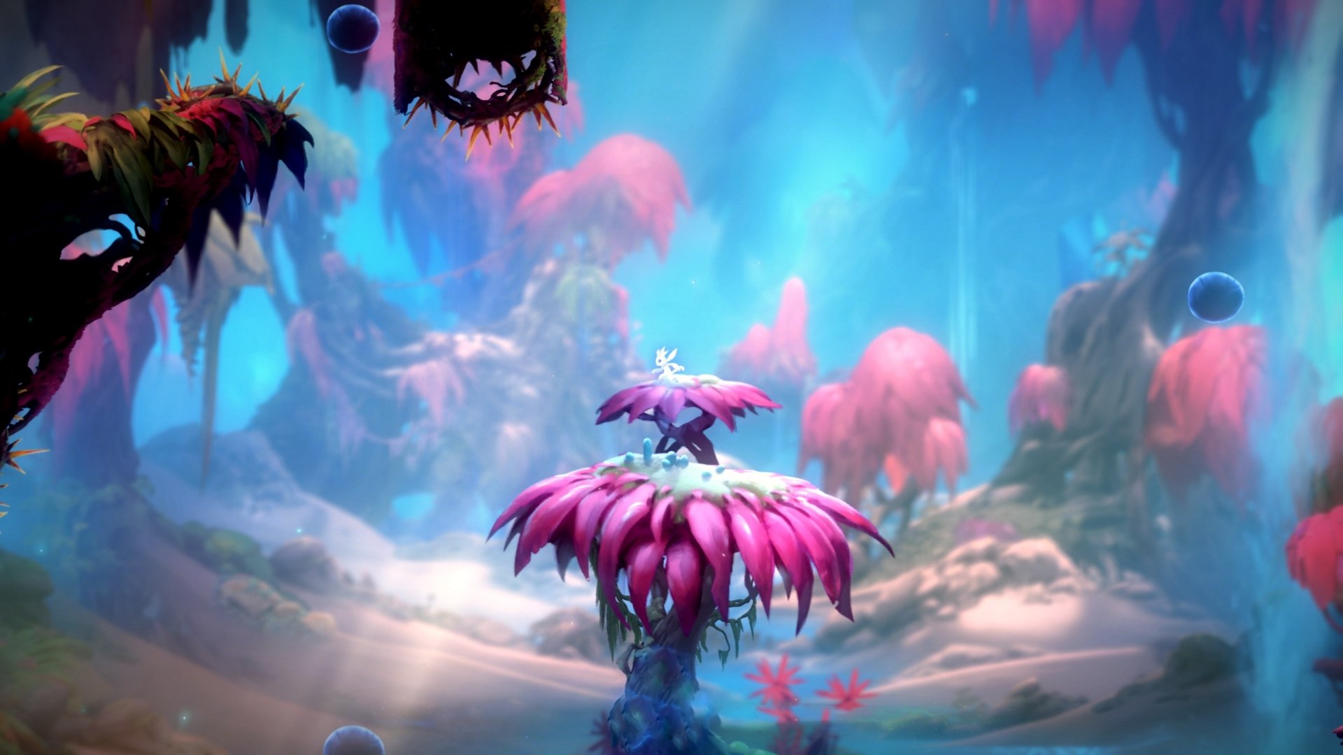 爱游戏体育官方网站-新西兰青训体系走向全球化，培养橄榄球新一代，新西兰橄榄球厉害吗