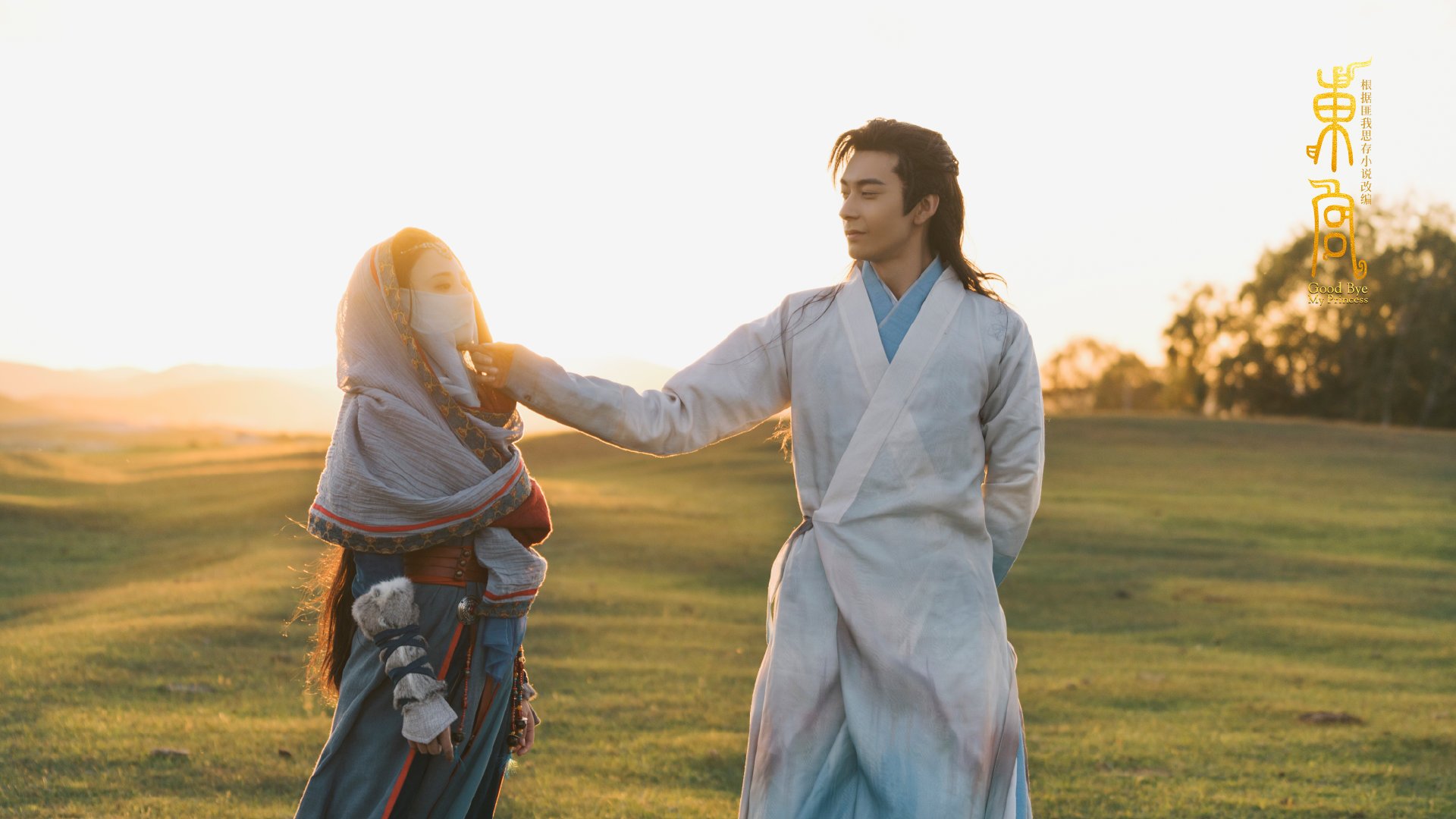 自由泳项目荷兰男将展现速度,荷兰弟游泳